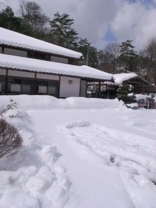 20101226 愛媛に降る雪、降らない雪③