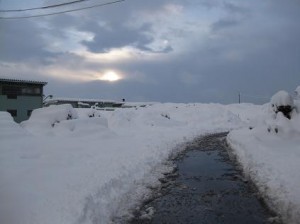 20110201 雪に刻む轍（わだち）②
