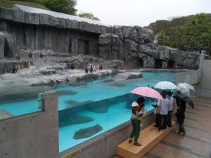 20110505 雨の日の動物園の「ちょっと違う感」①