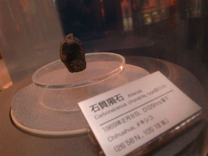 20110817 地球浪漫・珪化木から隕石まで⑤