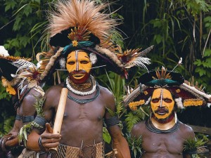 20111003 1 パプア・ニューギニアの密林とかけら