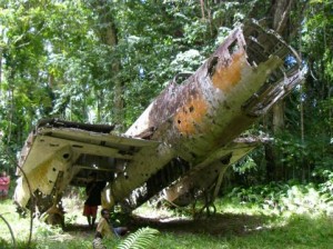 20111003 2 パプア・ニューギニアの密林とかけら